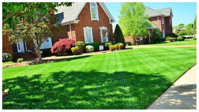 Lawn Green