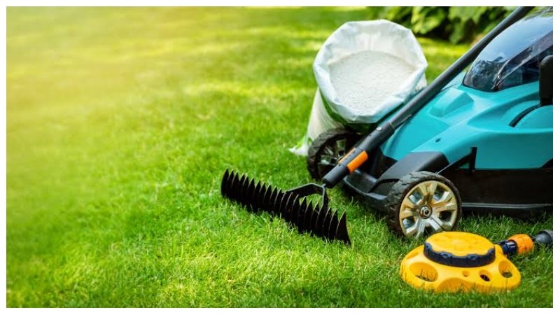 Lawn Green Year-Round